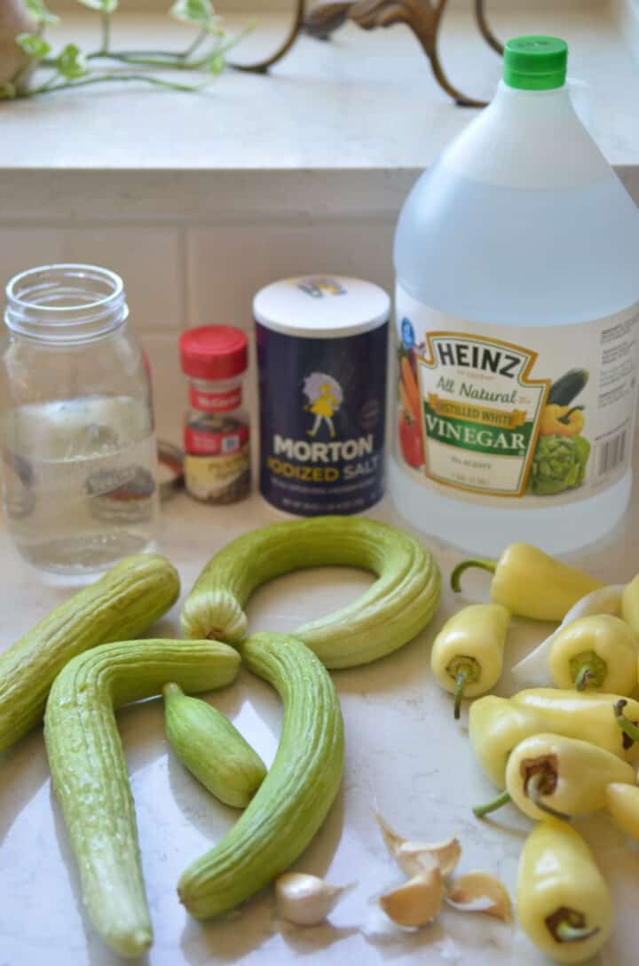 Ingredients to make Pickled Armenian cucumbers